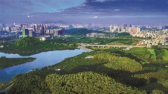 深圳光明新区最新爆料,揭秘发展新动向与未来蓝图  第2张